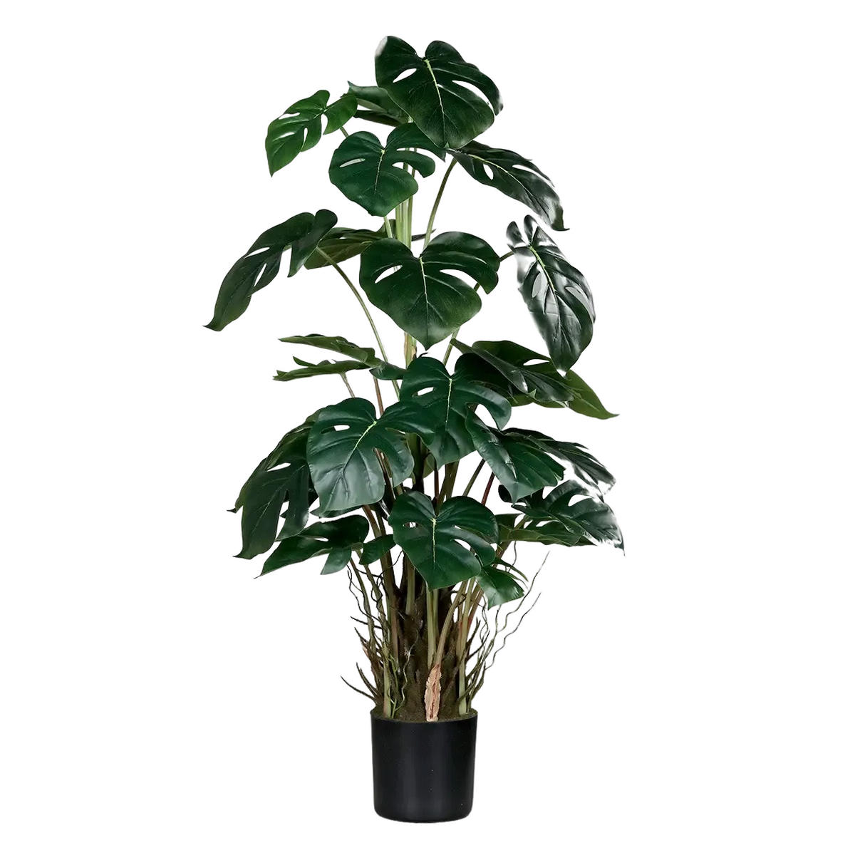 KUNSTPFLANZE Künstliche Monstera - Jochen 82 cm - Grün, Kunststoff (82cm) - aplanta