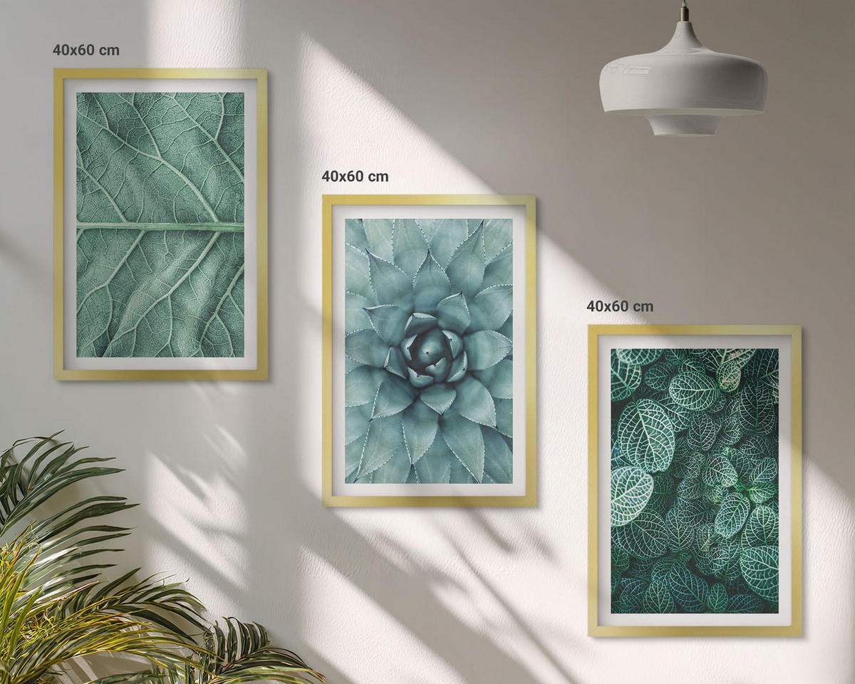 BILDER SET 3er Set - 40x60 cm Goldrahmen - Nahaufnahme von Pflanzenblättern - Goldfarben, Kunststoff (40/60cm) - TULUP