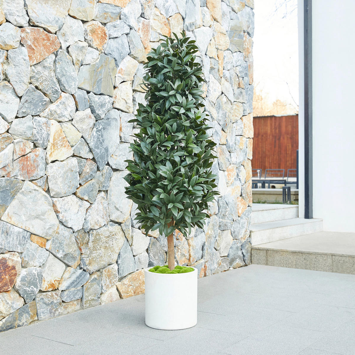 KUNSTBAUM Künstlicher Lorbeerbaum – Alarion 150 cm - Grün, Kunststoff (150cm) - aplanta