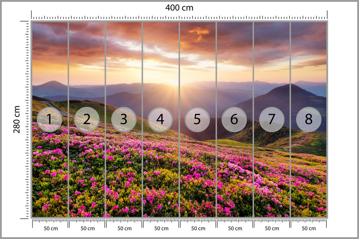FOTOTAPETE für Wohnzimmer Sonnenuntergang Berge Wiese Blumen 400x280 - Violett/Rosa, Papier (400/280cm) - Muralo