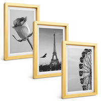 BILDER SET 3er Set - 20x30 cm Goldrahmen - Rose Eiffelturm Riesenrad - Goldfarben, Kunststoff (20/30cm) - TULUP
