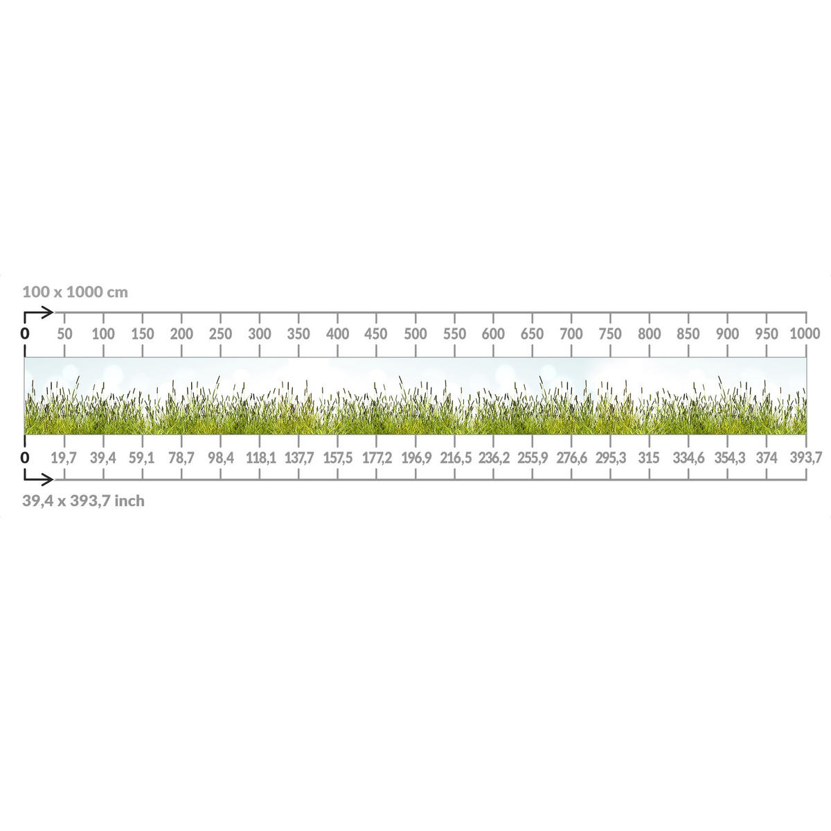 BALKON SICHTSCHUTZ Grüne Wiese 600/100 cm - Grün, Kunststoff (600/100cm) - Bilderwelten