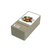 ZUBEHÖR Trockensteckmasse Trockenschaumziegel für Kunstblumen - Grün, Kunststoff (1cm) - aplanta