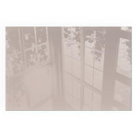 GLASPLATTE für Kamin 60x40 cm - Beige, Glas (60/40/0.4cm) - TULUP