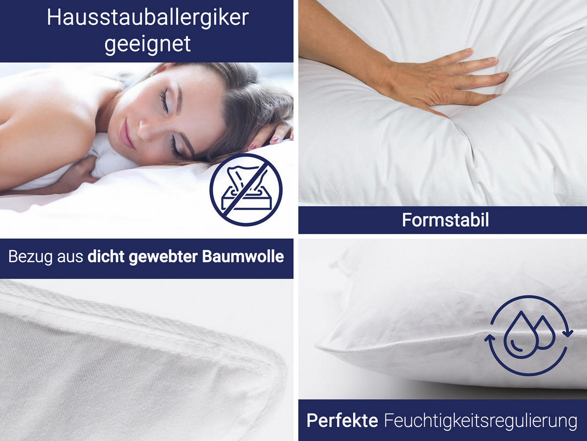 KISSEN, 60x80 cm, 100% Baumwolle, Weiß - Weiß, Textil (60/80cm) - Zollner