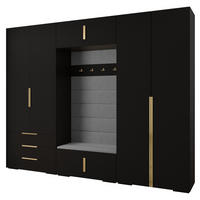 GARDEROBEN-SET 236,7/300/47 - Goldfarben/Schwarz, Holz/Kunststoff (300/236.7/47cm) - Abiks Möbel