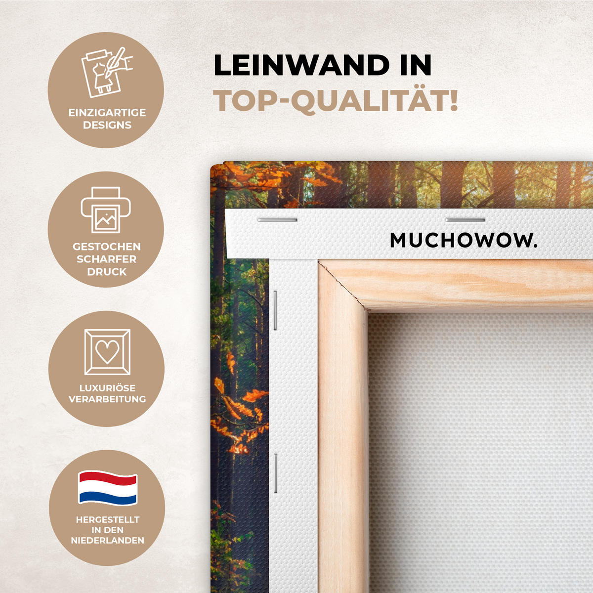 LEINWANDBILD Wald - Herbst - Bäume Deko Wohnzimmer 20x20 cm - Dunkelgrün, Textil (20/20cm) - MuchoWow