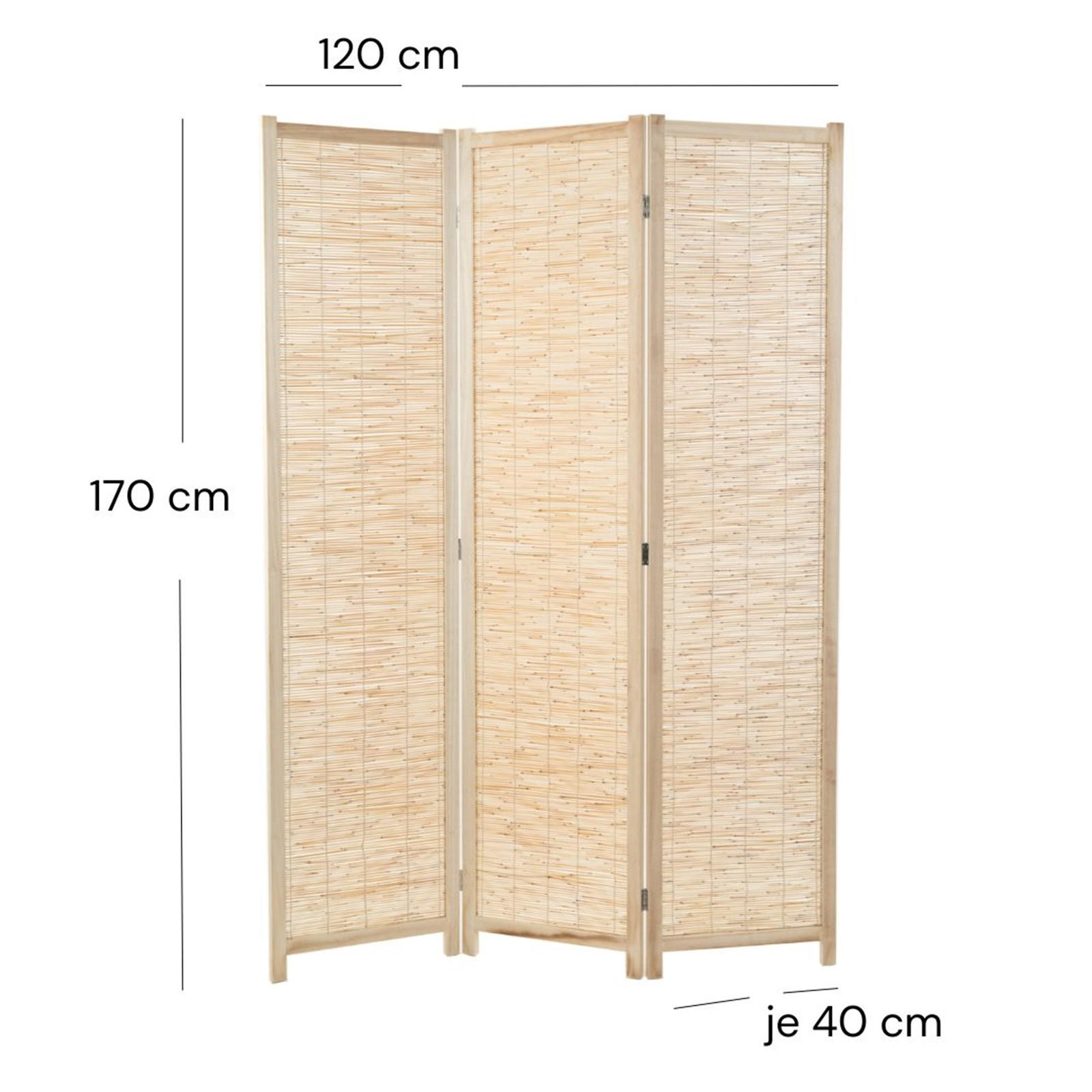 RAUMTEILER Playa 3-tlg. Schilfrohr Holz natur - Naturfarben, Holz (120/170/3cm) - DESIGN DELIGHTS