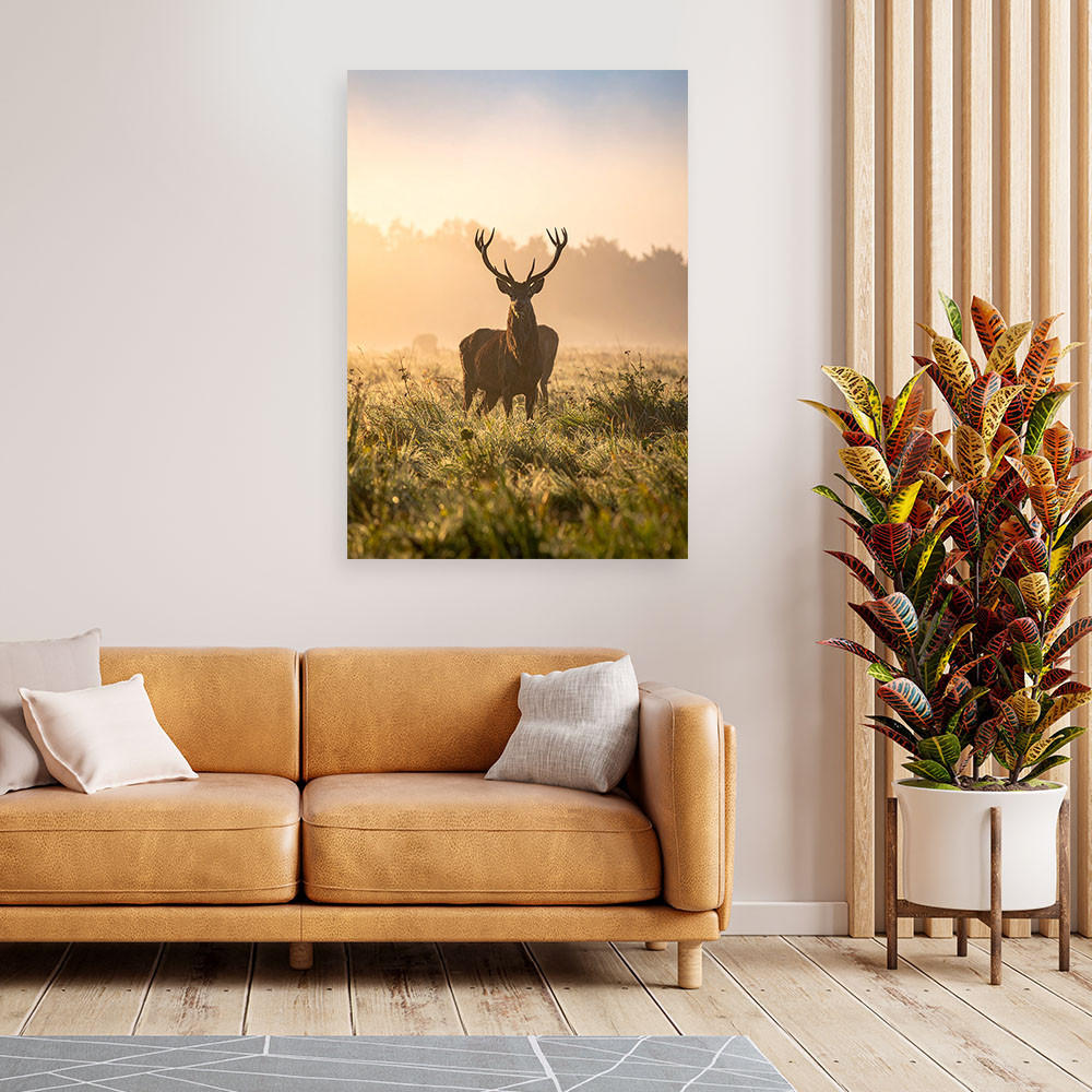 LEINWANDBILD Landschaft Hirsch auf der Brunft am Morgen 40x60cm - Beige, Textil (40/60cm) - Feeby