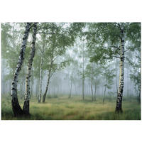 VLIESTAPETE Wald Birken 3D Effekt Natur Schlafzimmer 250x175 - Multicolor, Papier (250/175cm) - Wallarena