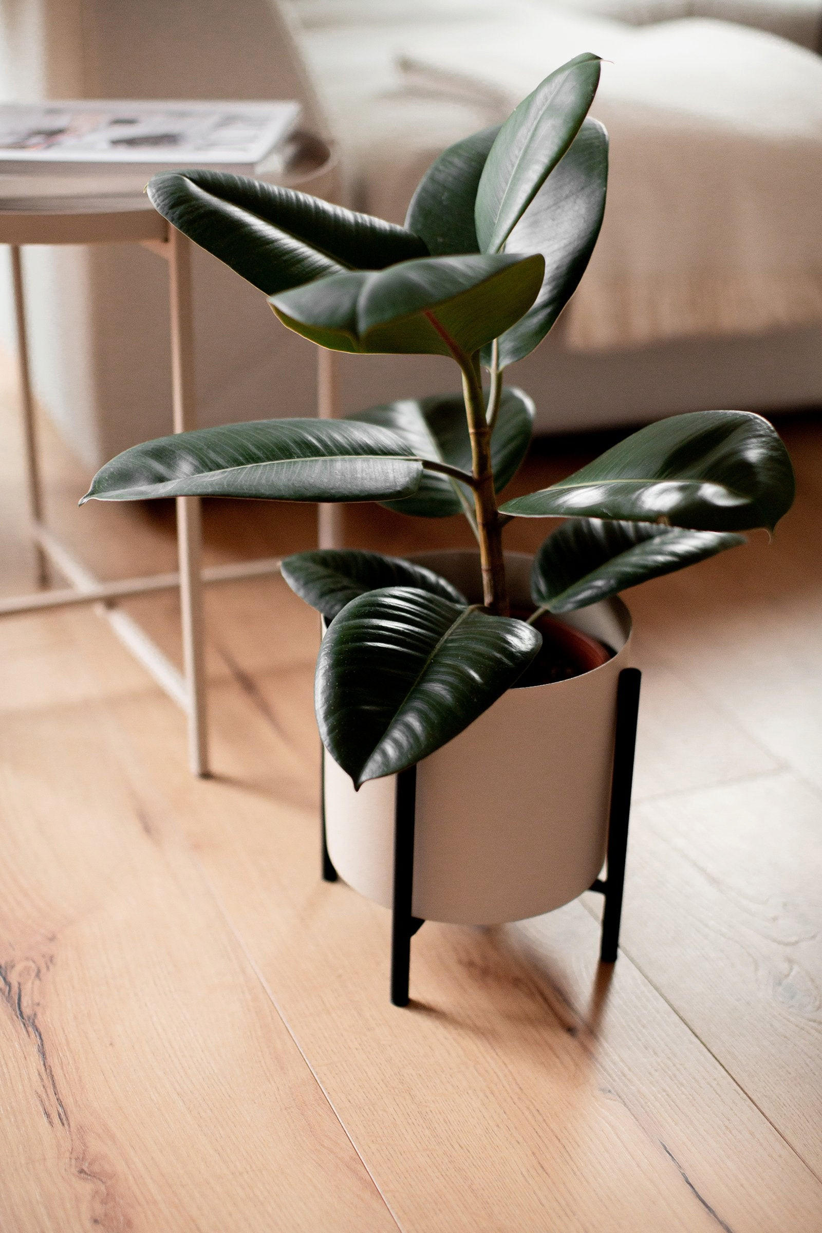 BLUMENTOPF Enea in Braun und Schwarz Ø21,5 cm - Beige, Metall (21.5/23.5/21.5cm) - LaLe Living