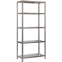 SCHRAUBREGAL PANDA TALL | HxBxT 200x100x50cm | 5 Fachböden | Fachlast 100kg | Grau - Grau, Metall (100/200/50cm) - PROREGAL