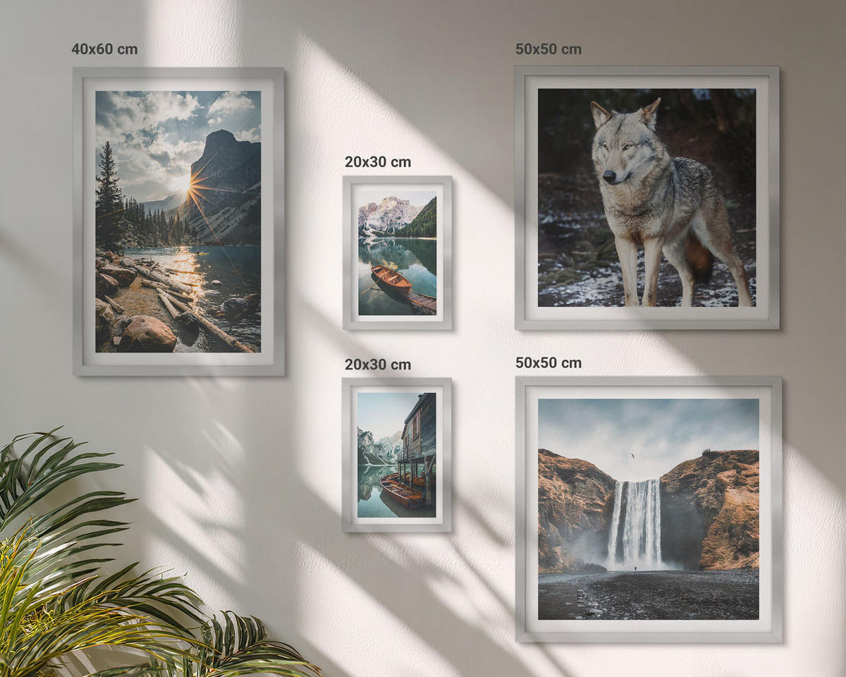 BILDER SET 5er Set - 50x50 cm & 20x30 cm & 40x60 cm Silberner Rahmen - Berge, Seen, Wasserfall, Wolf - Silberfarben, Kunststoff (40/60cm) - TULUP