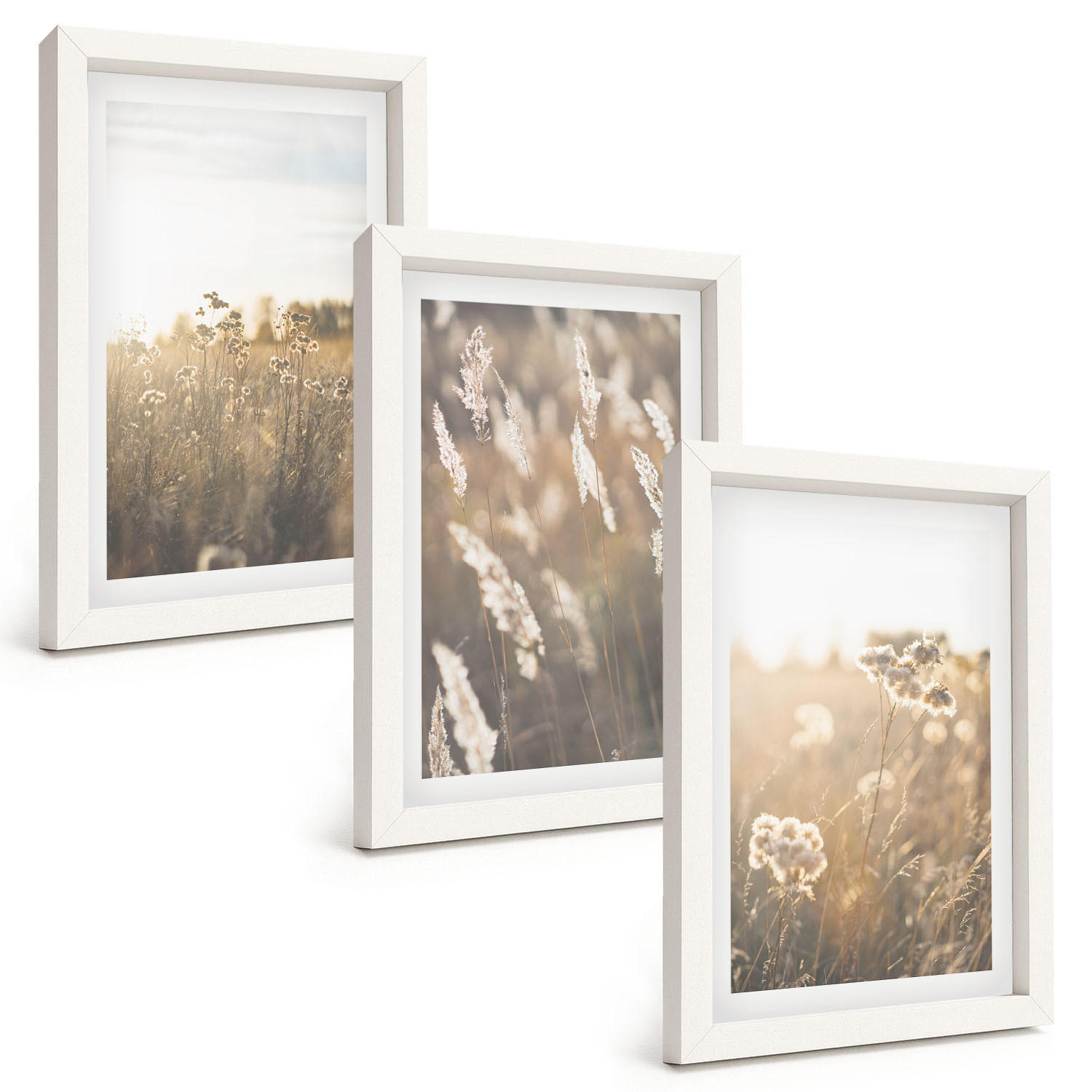 BILDER SET 3er Set - 20x30 cm Weißer Rahmen - Landschaftsgrasblumen Wärme - Weiß, Kunststoff (20/30cm) - TULUP