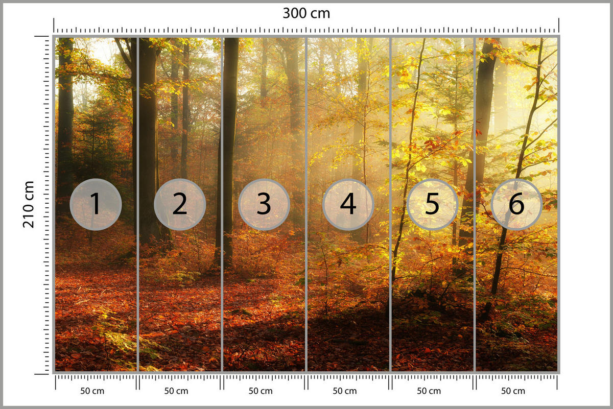 FOTOTAPETE für Wohnzimmer Herbstnebel Laubwald Bäume 300x210 - Gelb/Rot, Papier (300/210cm) - Muralo