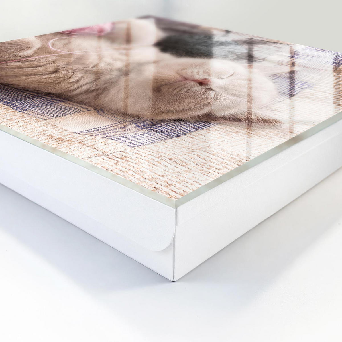 SCHLÜSSELBOX Weiß 30x30 cm – Türöffnung nach rechts - Schlafendes Kätzchen - Beige, Metall (30/30/5cm) - TULUP