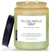 DUFTKERZE Eukalyptus Minze 550g 2-Docht Sojawachs Glas - Grün, Paraffin (13cm)