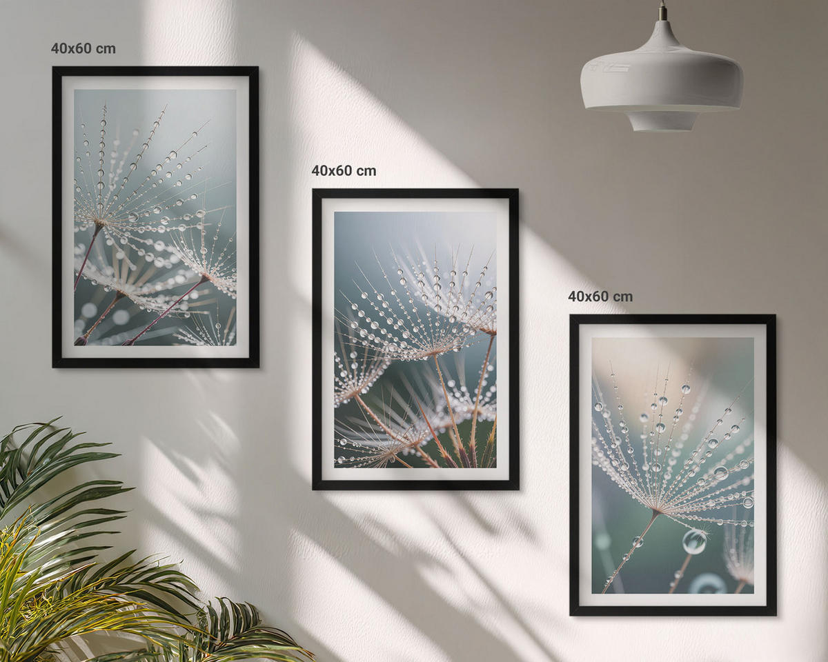 BILDER SET 3er Set - 40x60 cm Schwarzer Rahmen - Wassertropfen auf Löwenzahnsprossen - Schwarz, Kunststoff (40/60cm) - TULUP