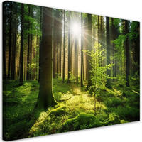 KUNSTDRUCK Grün 90/60 cm - Grün, Textil (90/60cm) - KUNSTLOFT
