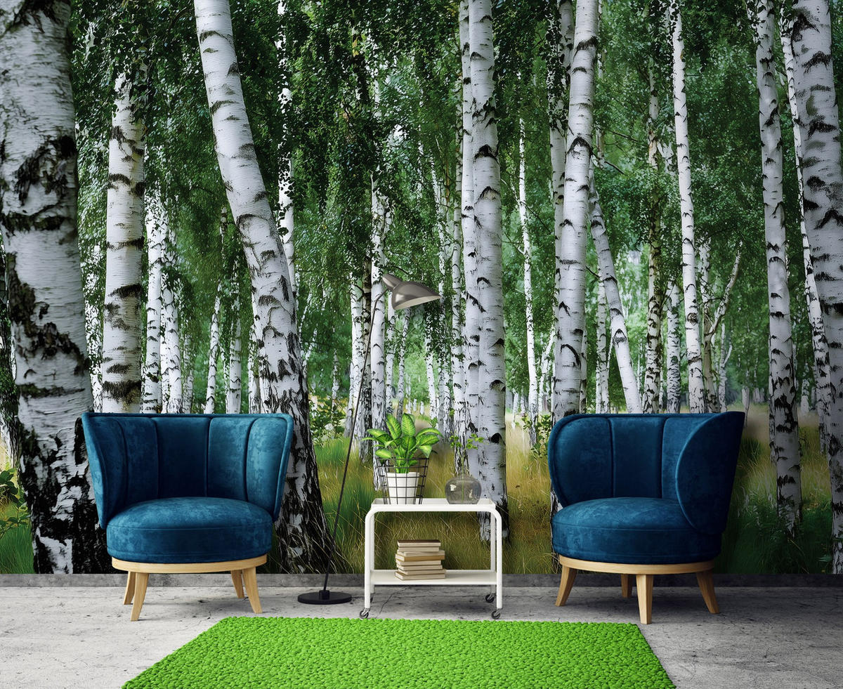 FOTOTAPETE Wald Birken Grün 400x280 cm - Multicolor, Papier (400/280cm) - Wallarena