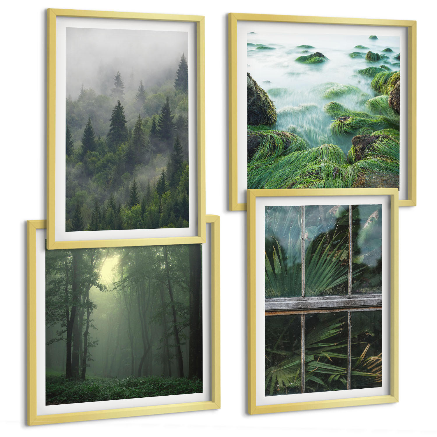BILDER SET 4er Set - 50x50 cm & 40x60 cm Goldrahmen - Waldnebel, Fluss, Gewächshauspflanzen - Goldfarben, Kunststoff (50/50cm) - TULUP