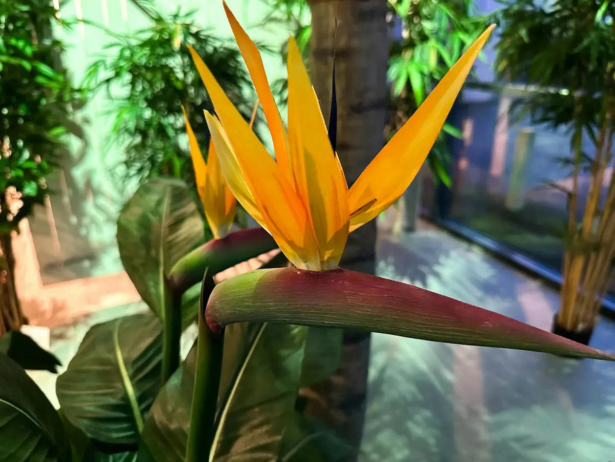 KÜNSTLICHE Strelitzia - Charlotte 130 cm - Grün, Kunststoff (130cm) - aplanta