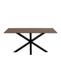 ESSTISCH - Keramik - Kastanie - Braun, Keramik (160/90/76cm) - Drawer