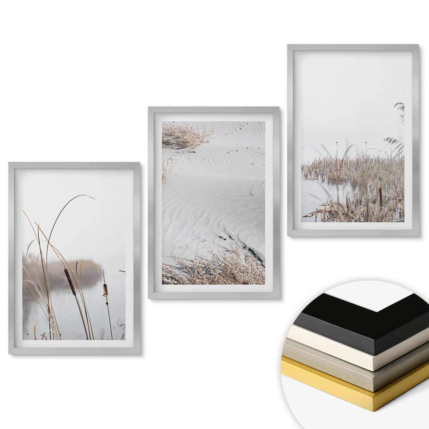 WANDBILDER 3er Set - 40x60 cm Silberner Rahmen - Wasserpflanzen im Sommer - Silberfarben, Kunststoff (40/60cm) - ArtPrintCave