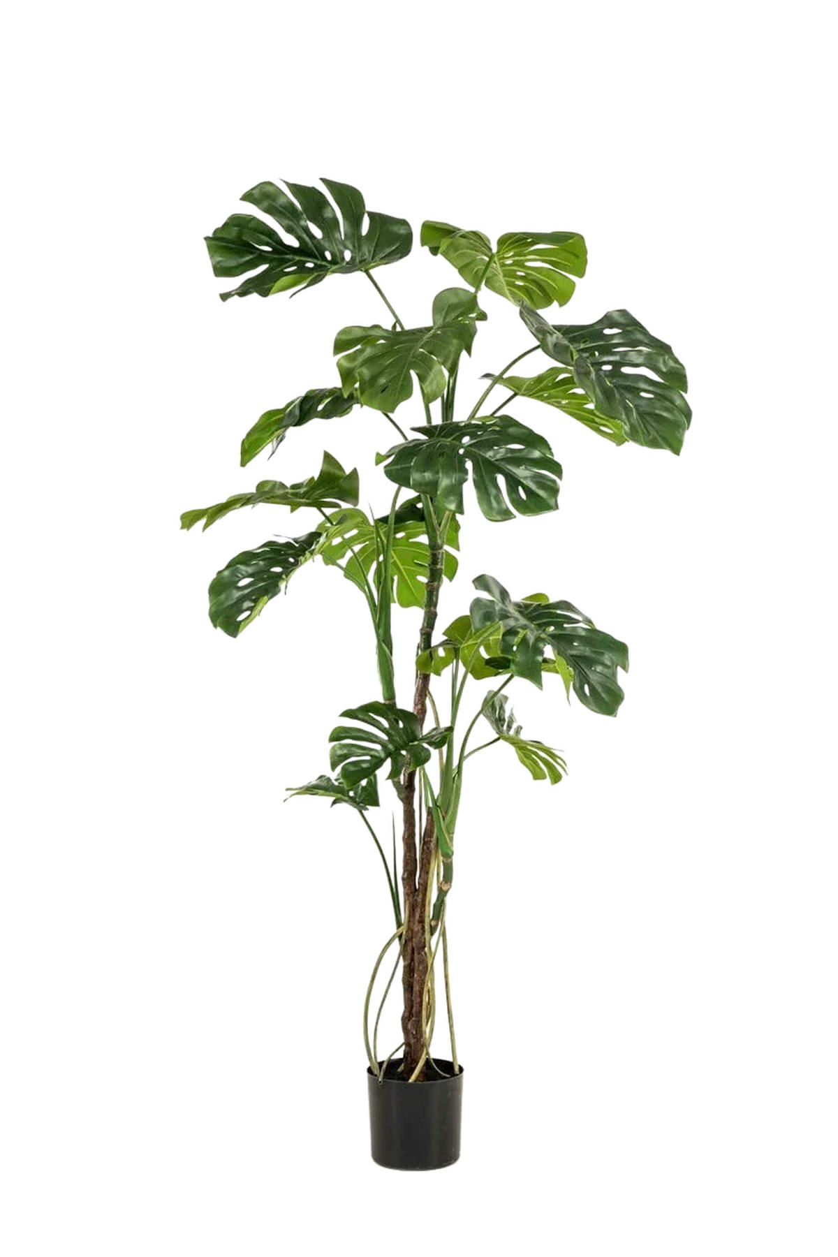 KUNSTBAUM Künstliche Monstera - Mogli 180 cm - Grün, Kunststoff (180cm) - Emerald