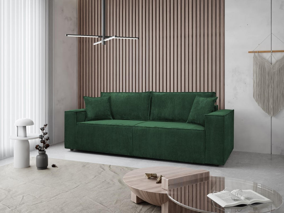 SOFA Passio III 250 x 105 cm, mit Schlaffunktion und Bettkasten, grün - Grün, Kunststoff (250/98/105cm) - Margaret Hadas24