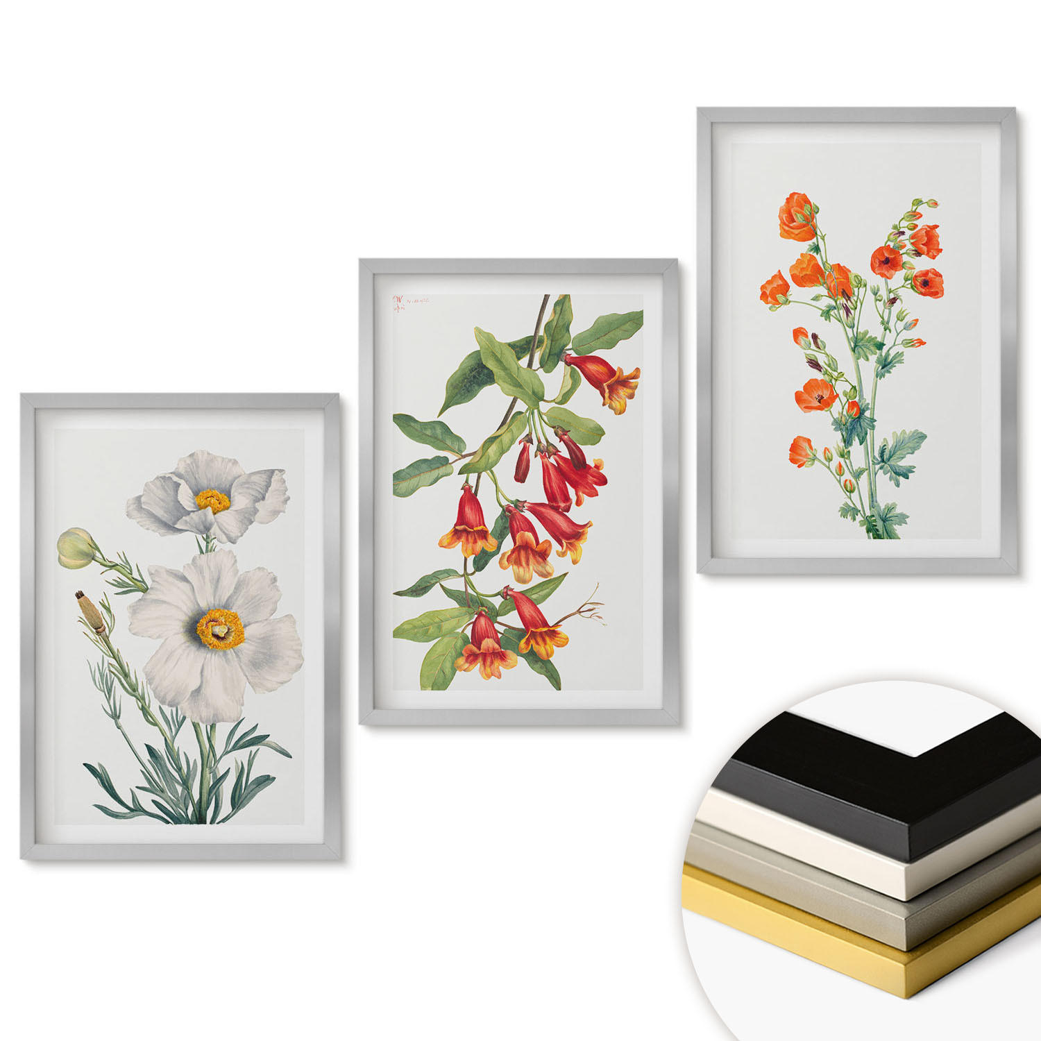 WANDBILDER 3er Set - 40x60 cm Silberner Rahmen - Retro-Blumenarrangements - Silberfarben, Kunststoff (40/60cm) - ArtPrintCave
