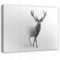 LEINWANDBILD Reh Nebel Grau 60x40 cm - Multicolor, Holzwerkstoff (60/40cm) - Wallarena