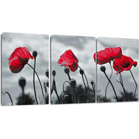 LEINWANDBILD 3-teiliges Set Rote Blume 30 x 40 cm - Rot, Textil (40/0.5cm)