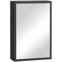 SPIEGELSCHRANK Schwarz 40/15/60 cm - Schwarz, Metall (40/60/15cm) - PANGIVO