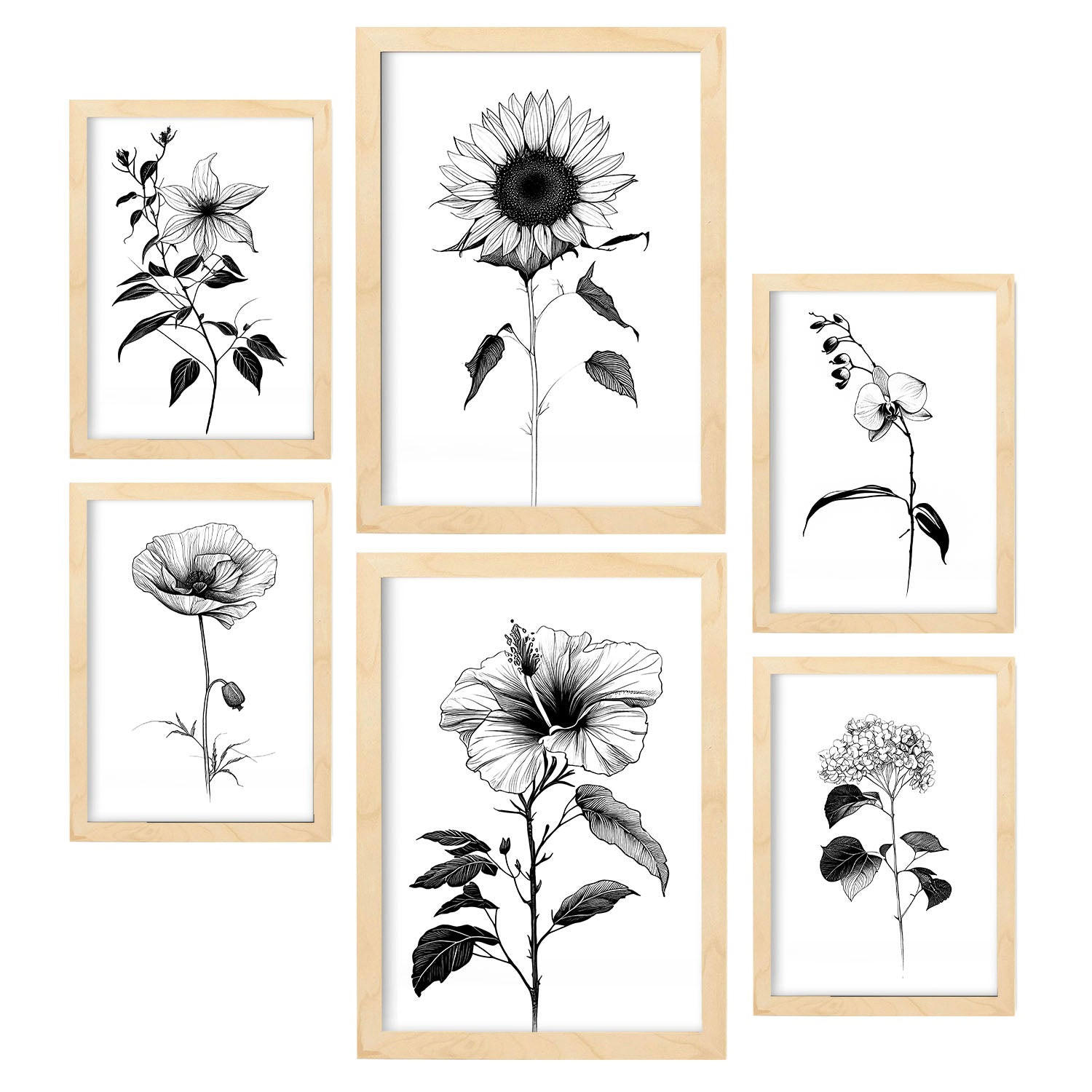 POSTER Set Mit 6 Helle Blumen Natur Und Botanikdrucke Mit Blumenmotiven In Klassischem Schwarz Und Weiß A3 & A4 Rahmen Aus Hellem Holz - Beige, Papier (29/3cm) - Nacnic