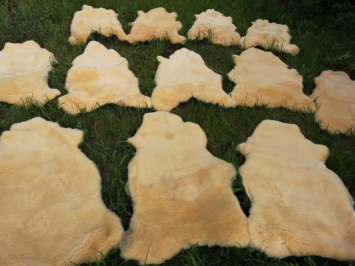 LAMMFELL medizinisch Relugan Baby Schaffell Öko ca. 75 cm - Gelb, Fell (45/75cm) - Provellus