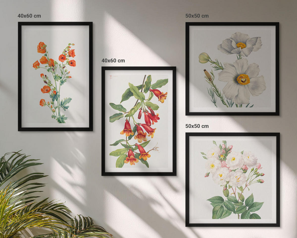BILDER SET 4er Set - 50x50 cm & 40x60 cm Schwarzer Rahmen - Retro-Blumenmalerei - Schwarz, Kunststoff (50/50cm) - TULUP