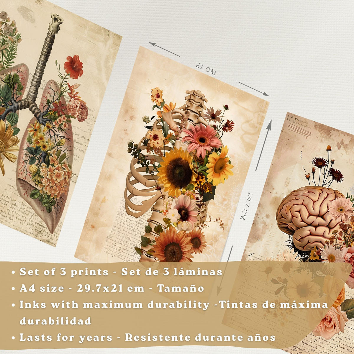 POSTER Set aus 3 Anatomie Mensch Vintage Florale Drucke und Wandbilder mit Lungen Brustkorb und Gehirn Botanischer Antiker Stil Größe Rahmenlos A4 - Klar, Papier (21/29.7/3cm) - Nacnic