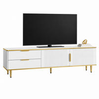 TV-SCHRANK mit 2 Schubladen 170 x 37 x 45 cm Weiß Gold - Weiß, Holzwerkstoff (37/45/170cm) - Beauniv