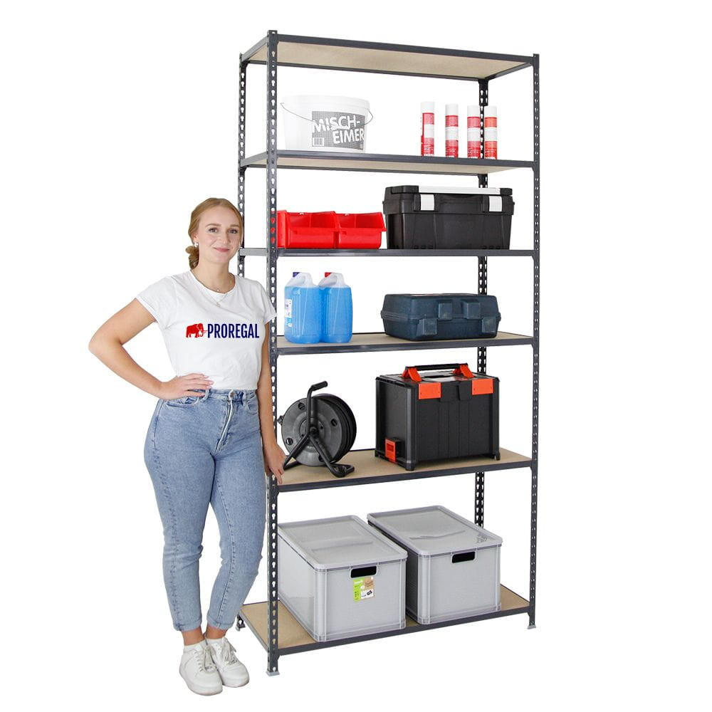 SCHWERLASTREGAL Giant Muli HxBxT 250 x 110 x 30 cm 6 Fachböden Fachlast 200 kg Anthrazit - Anthrazit, Metall (110/250/30cm) - PROREGAL