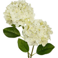 HORTENSIE Kunstblume 63 cm Cream 2-teiliges Set - Creme, Kunststoff (63cm)