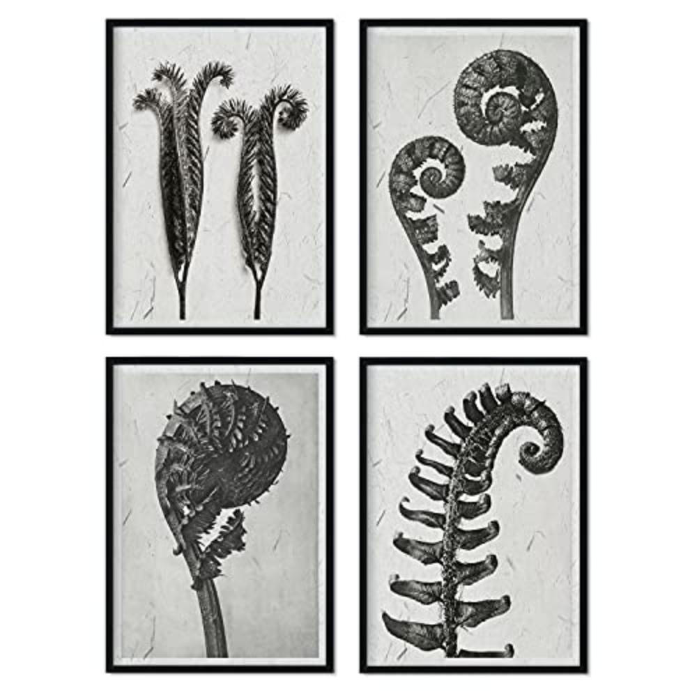 Nacnic Poster Klar 29.7x3 cm