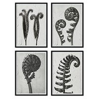 POSTER Set mit 4 von Blättern Farns Blumen und Pflanzen in Grausteinen A4 Schwarzer Rahmen - Schwarz, Papier (29.7/3cm) - Nacnic