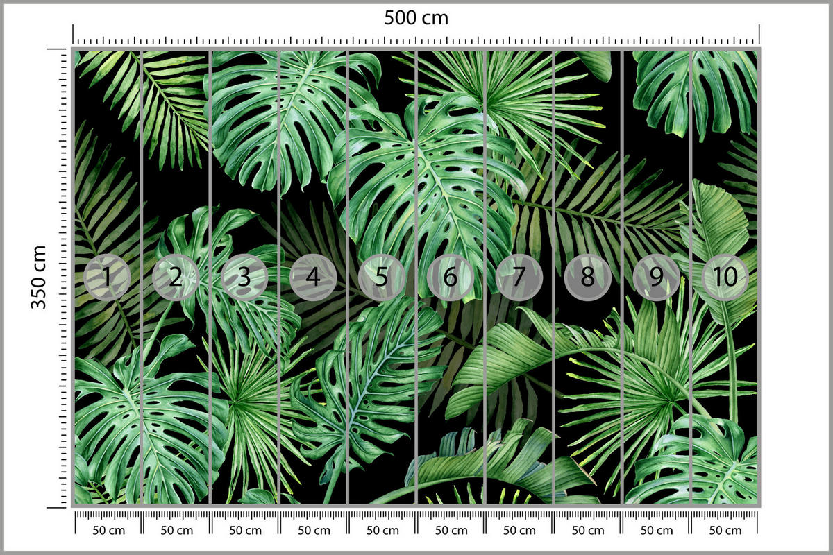 FOTOTAPETE für Schlafzimmer Exotische Grüne Monstera Palmen 500x350 - Schwarz/Grün, Papier (500/350cm) - Muralo