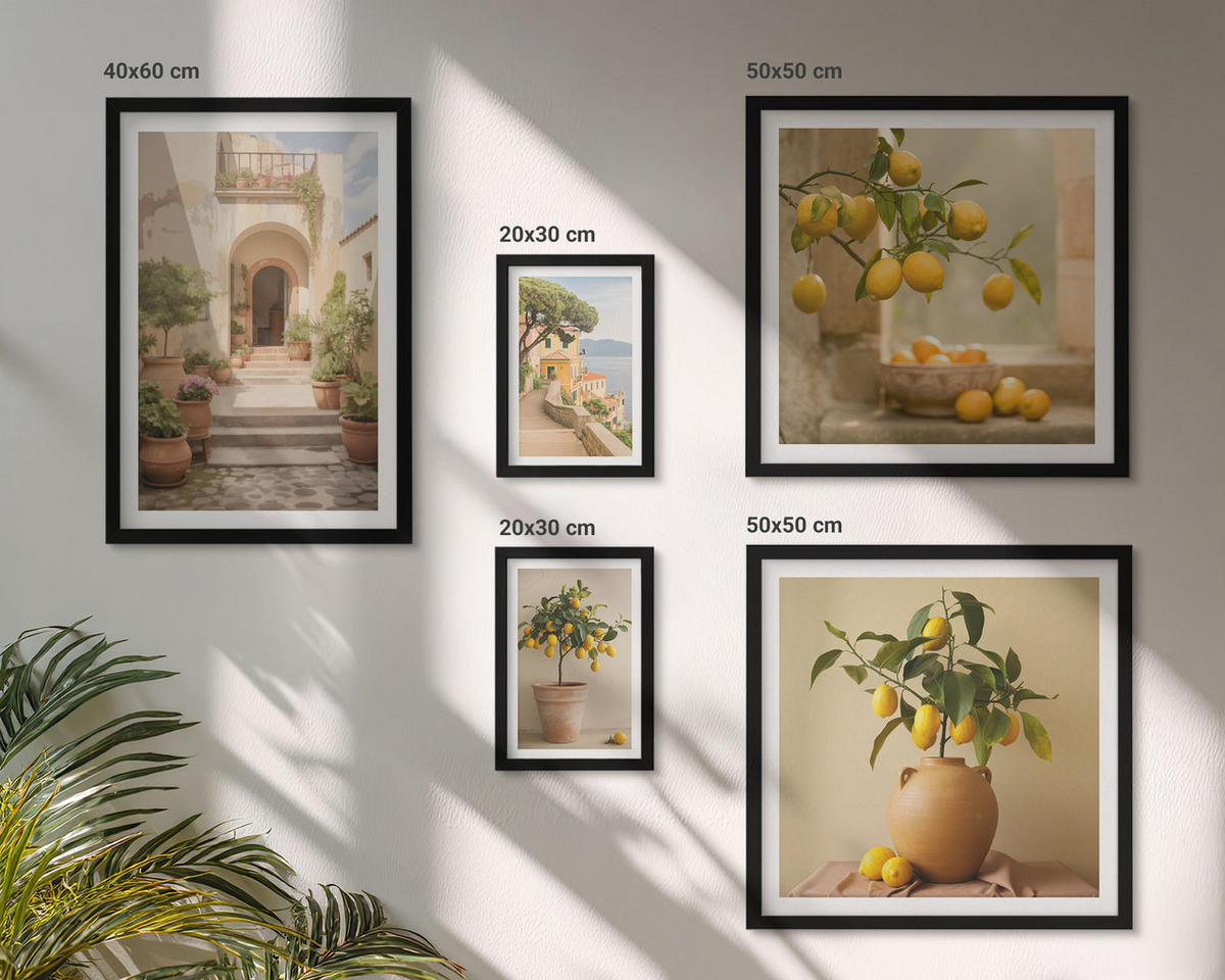 BILDER SET 5er Set - 50x50 cm & 20x30 cm & 40x60 cm Schwarzer Rahmen - Frische, farbenfrohe Zitrusfrüchte - Schwarz, Kunststoff (40/60cm) - TULUP