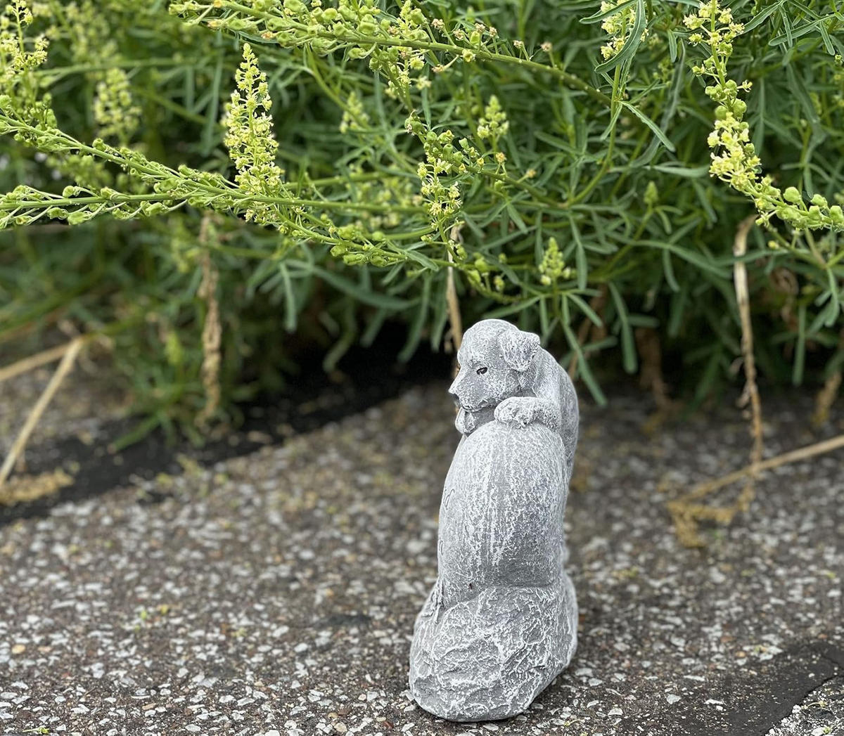 STEINFIGUR Hund Geliebt und Unvergessen frostfest wetterfest Steinguss Grabstein - Grau, Stein (12/14/6cm) - stoneandstyle