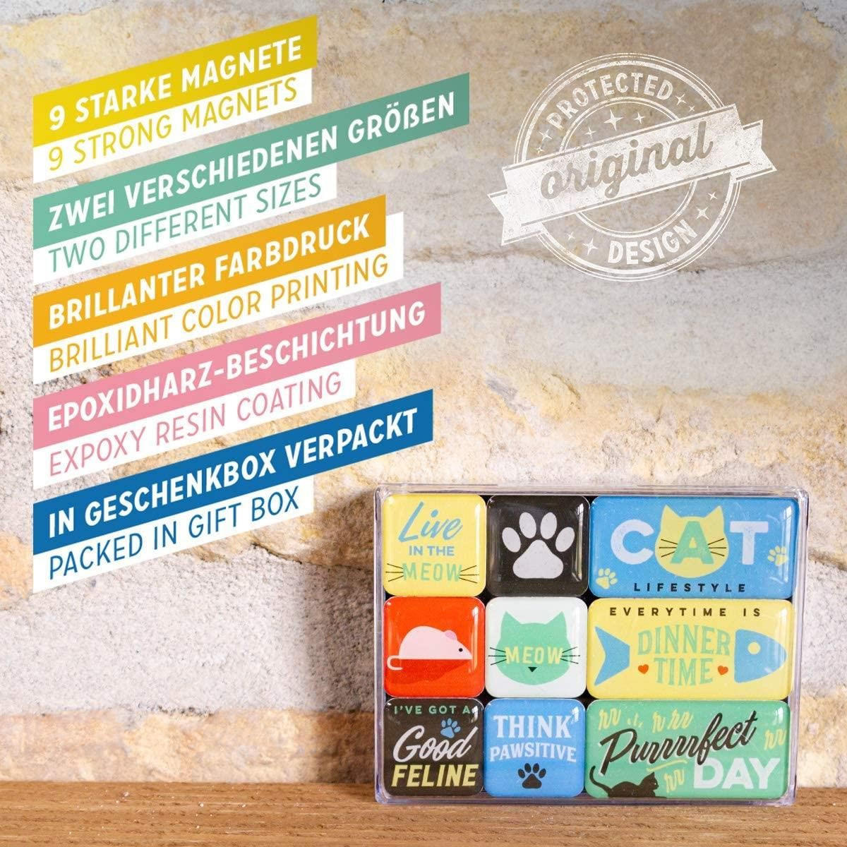 MAGNETSET 9-teilig Animal Club Cat Lifestyle - Multicolor, Metall (9/7/2cm) - Nostalgic-Art