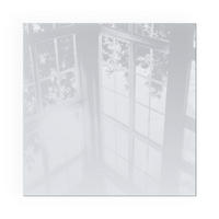 GLASPLATTE für Kamin 60x60 cm - Grau, Glas (60/60/0.4cm) - TULUP