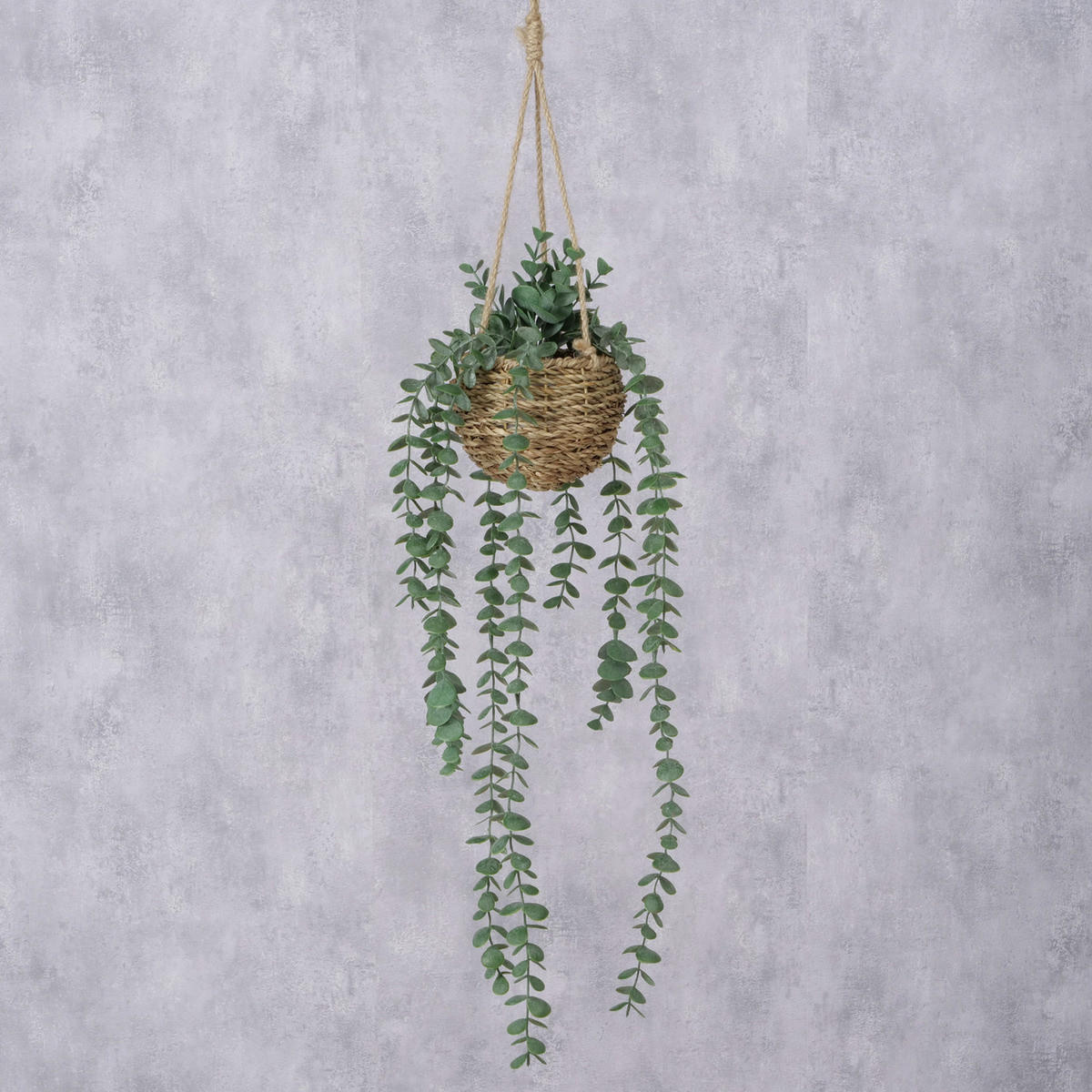 HÄNGENDE PFLANZE Eukalyptus 78 cm - Multicolor, Kunststoff (78cm) - Boltze Home