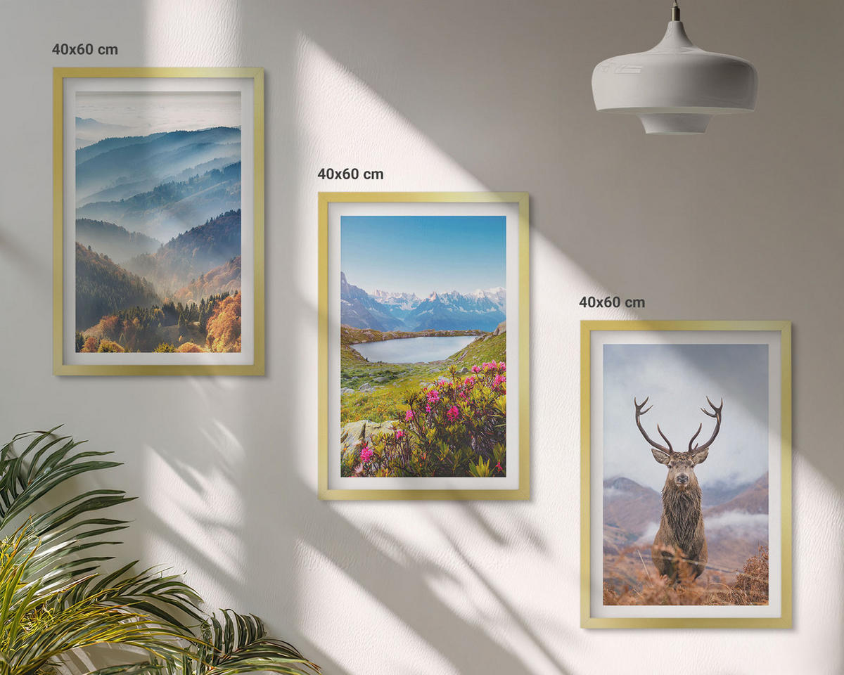 WANDBILDER 3er Set - 40x60 cm Goldrahmen - Natur des Bergseehirsches - Goldfarben, Kunststoff (40/60cm) - ArtPrintCave